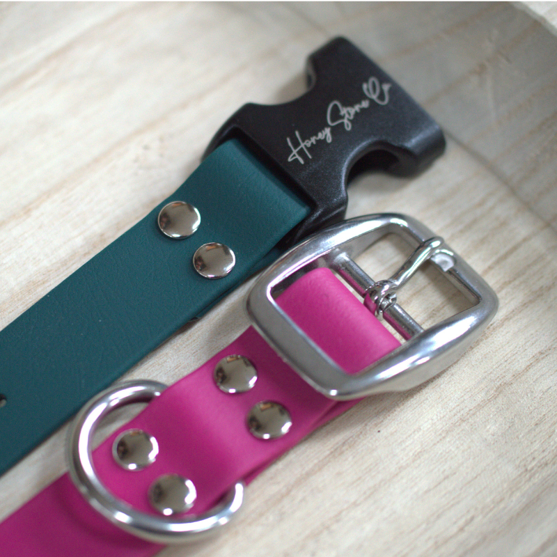 Buckle & Quick Release Collar (Waterproof + Odor-Proof)