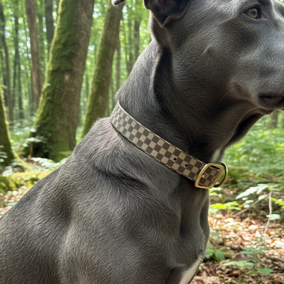 Two Toned Braided Collar (Waterproof + Odor-Proof)