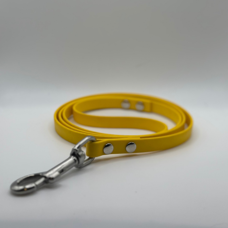 4’ Gold 1/2” Leash - SALE