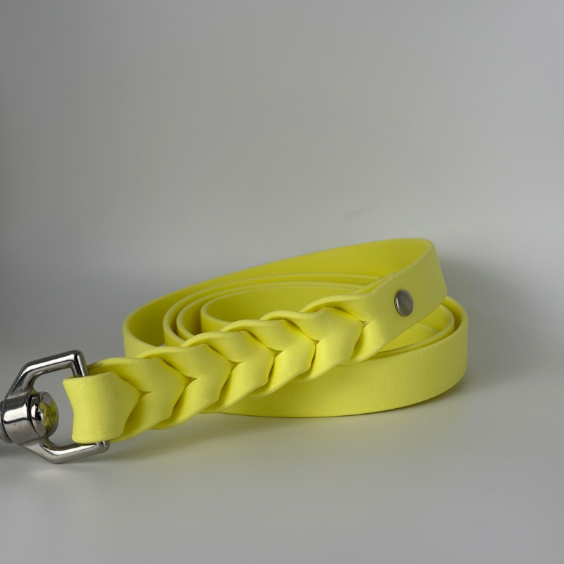 4’ Pastel Yellow Limited Edition Leash