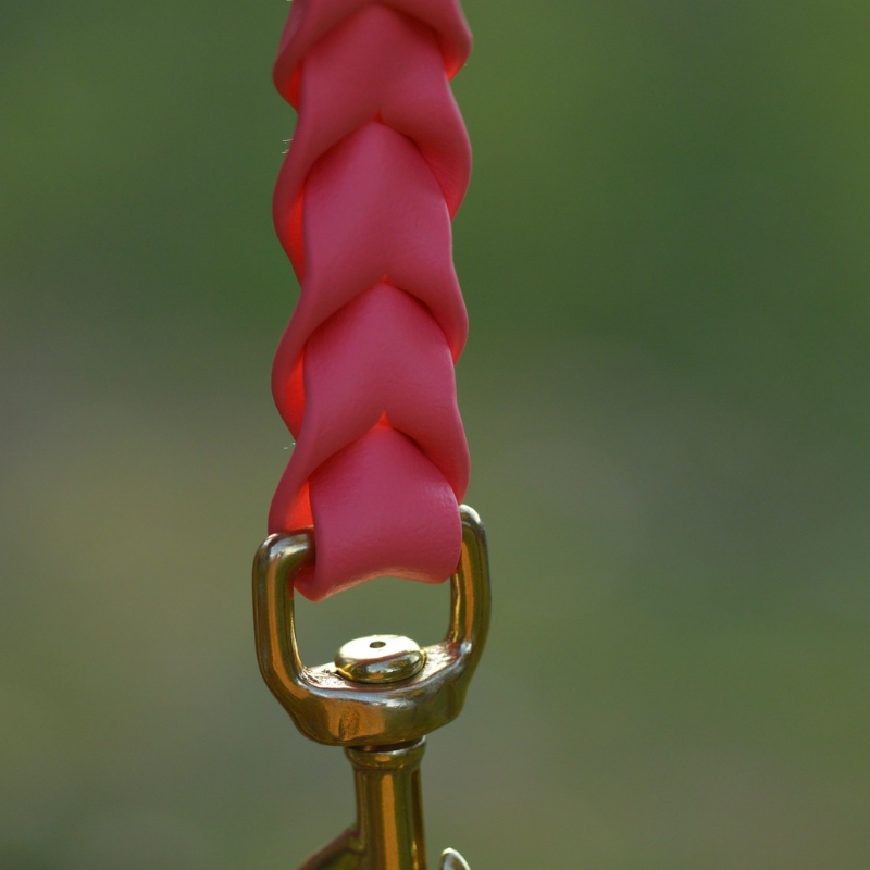 Two Toned Braided Leash (Waterproof + Odor-Proof)