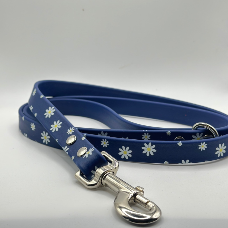 4’ Daisy Leash - SALE