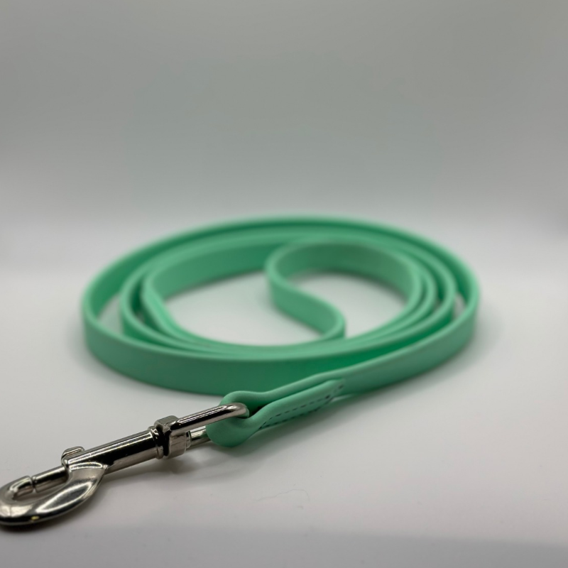 5’ Mint Leash - SALE