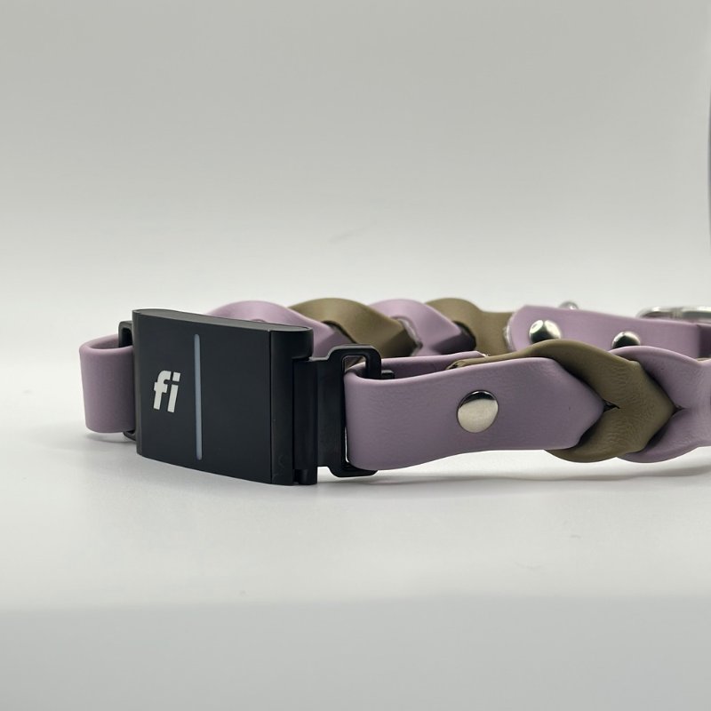 Fi Collar