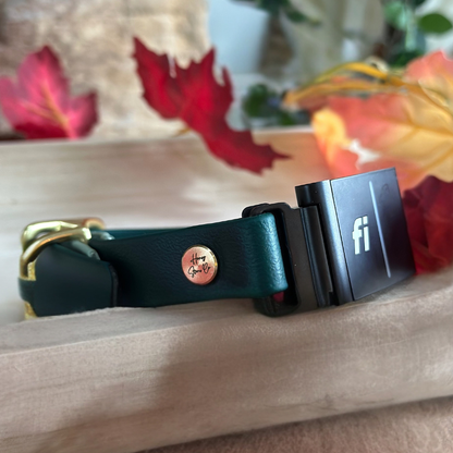 In-Lay Fi Collar