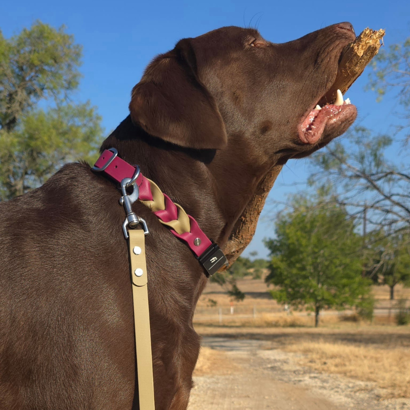Traditional Braided Fi