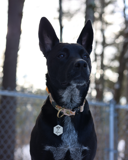 Honey Stone Co X besties