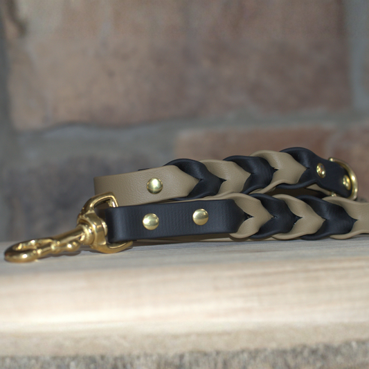 Two Toned Double Braided Leash