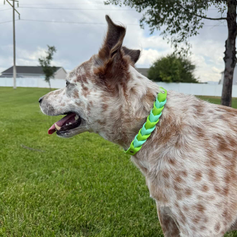 Two Toned Braided Collar