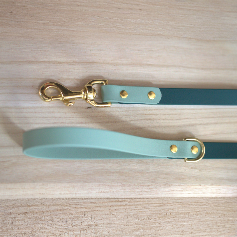 Two Toned Leash