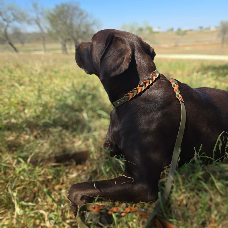 Two Toned Braided Collar