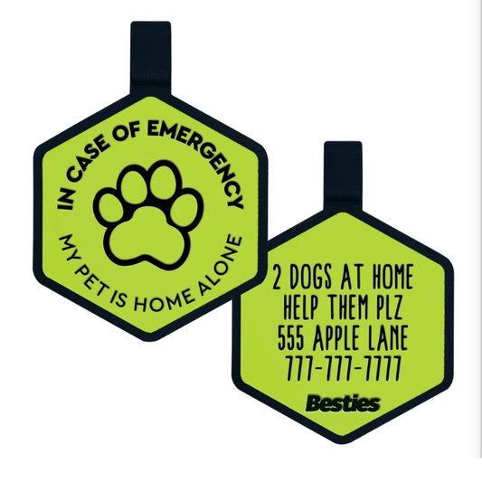 My pet is home alone emergency alert keychain X besties.