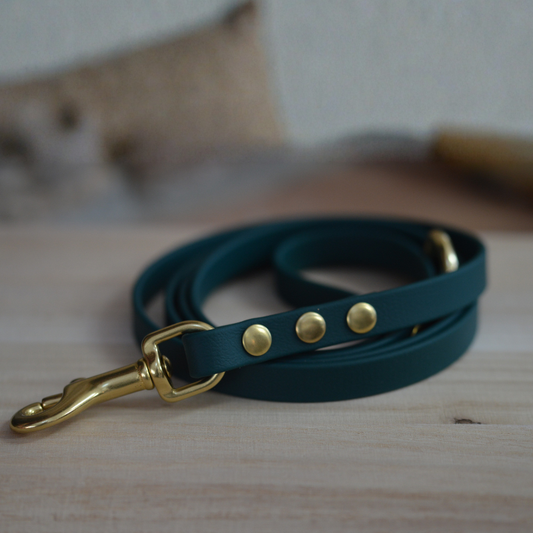 1/2” Simplistic Leash