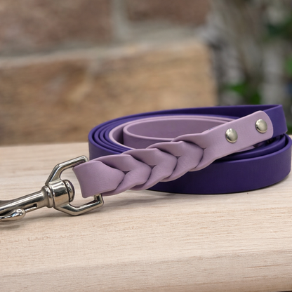 Two Toned Braided Leash