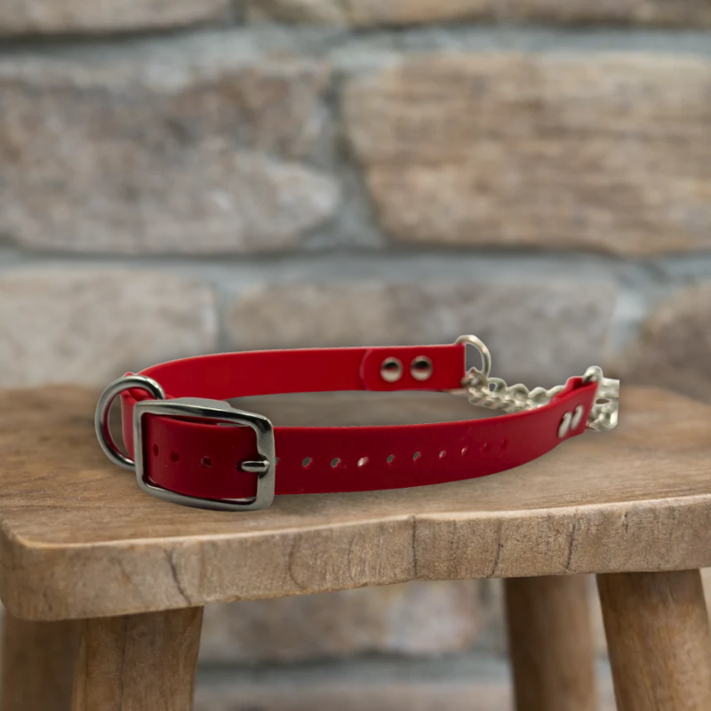 Martingale Collar
