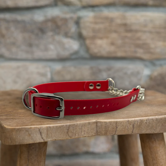 Martingale Collar