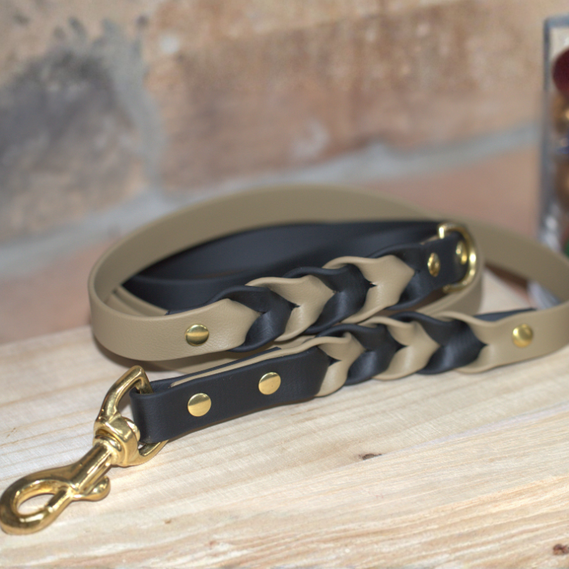 Two Toned Double Braided Leash