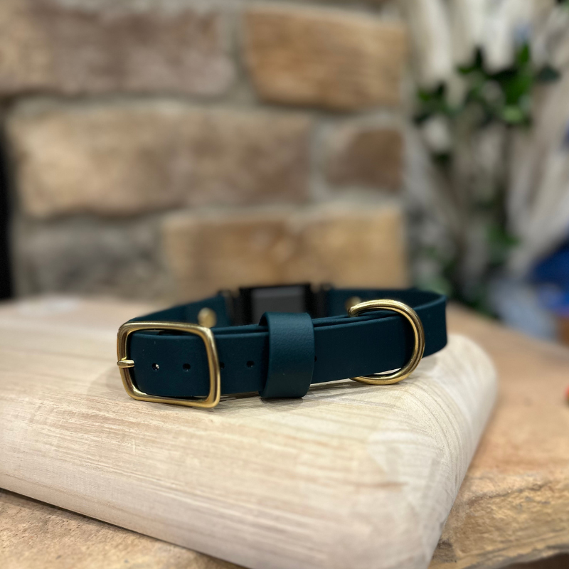 Solid Color Traditional Fi Collar