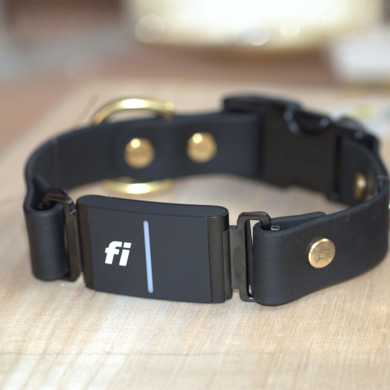 Non Adjustable Fi Collar