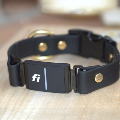 Non Adjustable Fi Collar