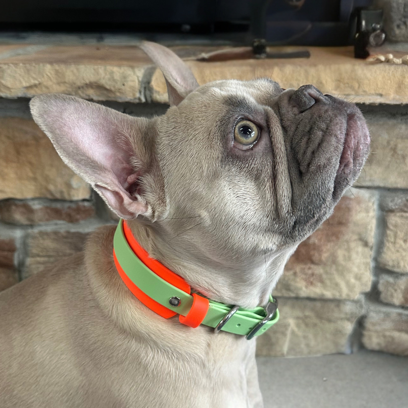 1.5" Collar with 1" Overlay