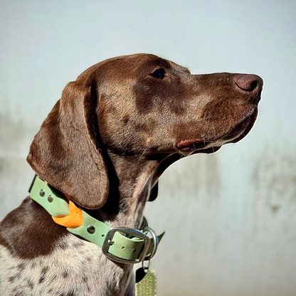 Two Toned Braided Collar
