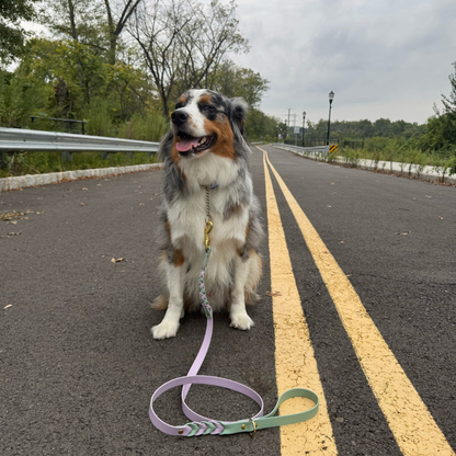 Two Toned Double Braided Leash