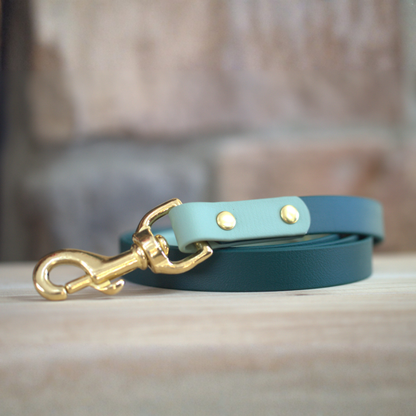 Two Toned Leash