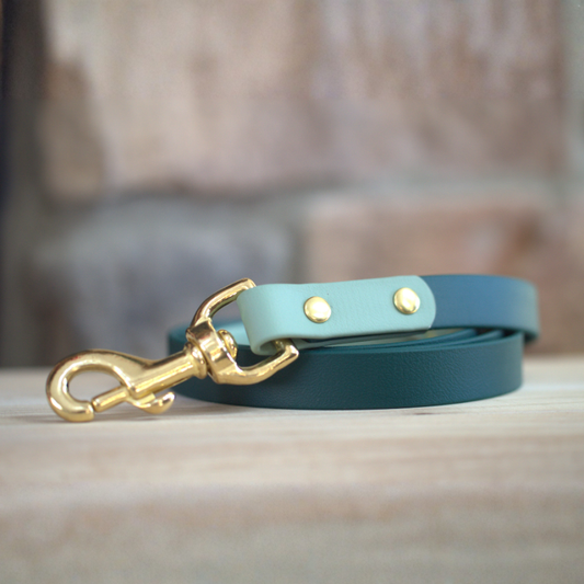 Two Toned Leash