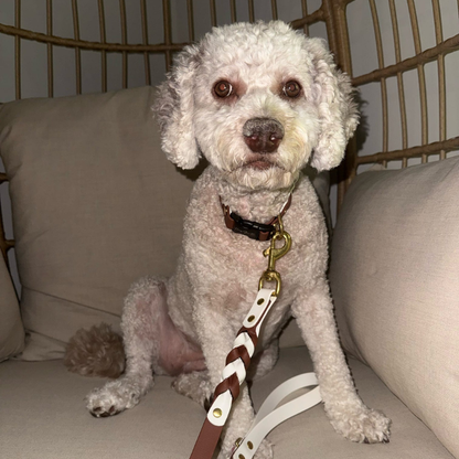 Two Toned Double Braided Leash