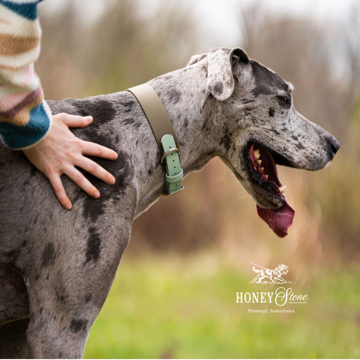 Two Toned Adjustable Collar (Waterproof + Odor-Proof)
