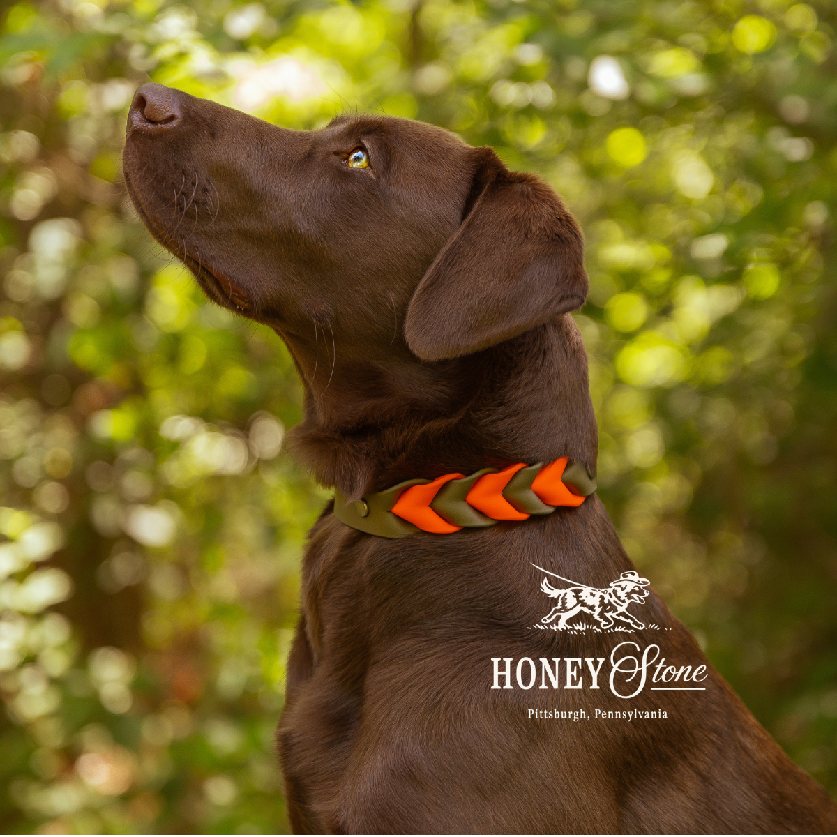 Two Toned Braided Collar (Waterproof + Odor-Proof)