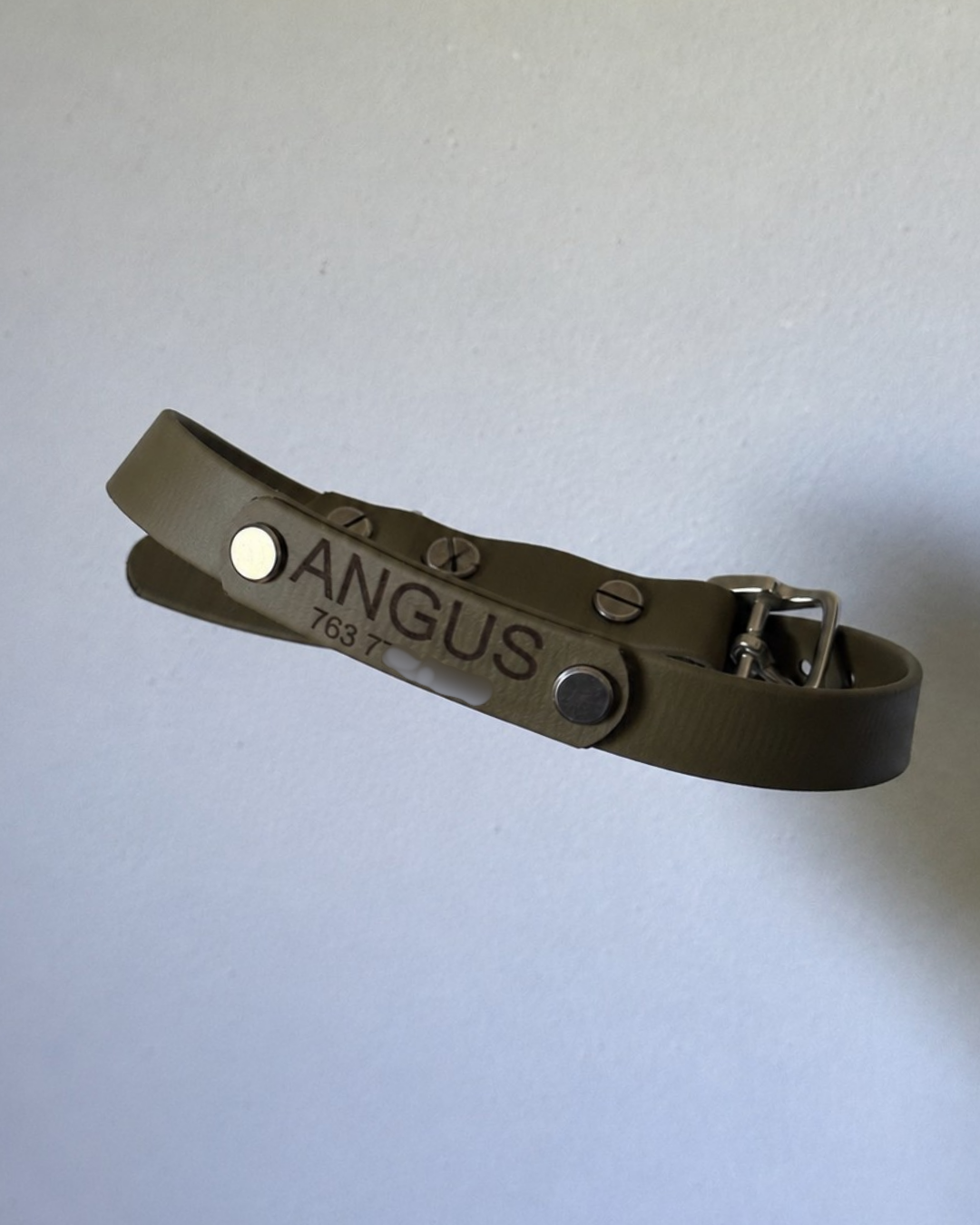 Name Plate Collar (Waterproof + Odor-Proof)