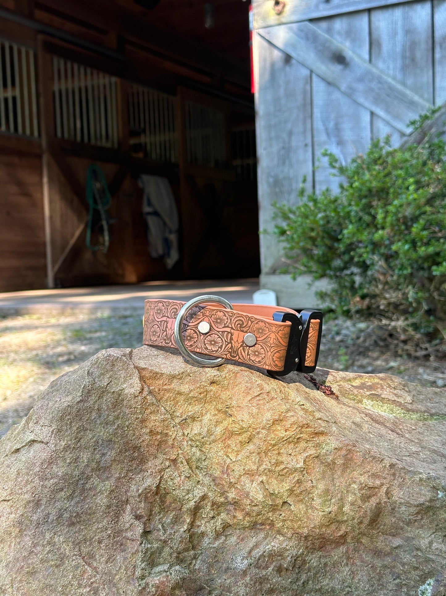 Personalized Engraved Waterproof Biothane Dog Collar. Adjustable Chicago screw variation.