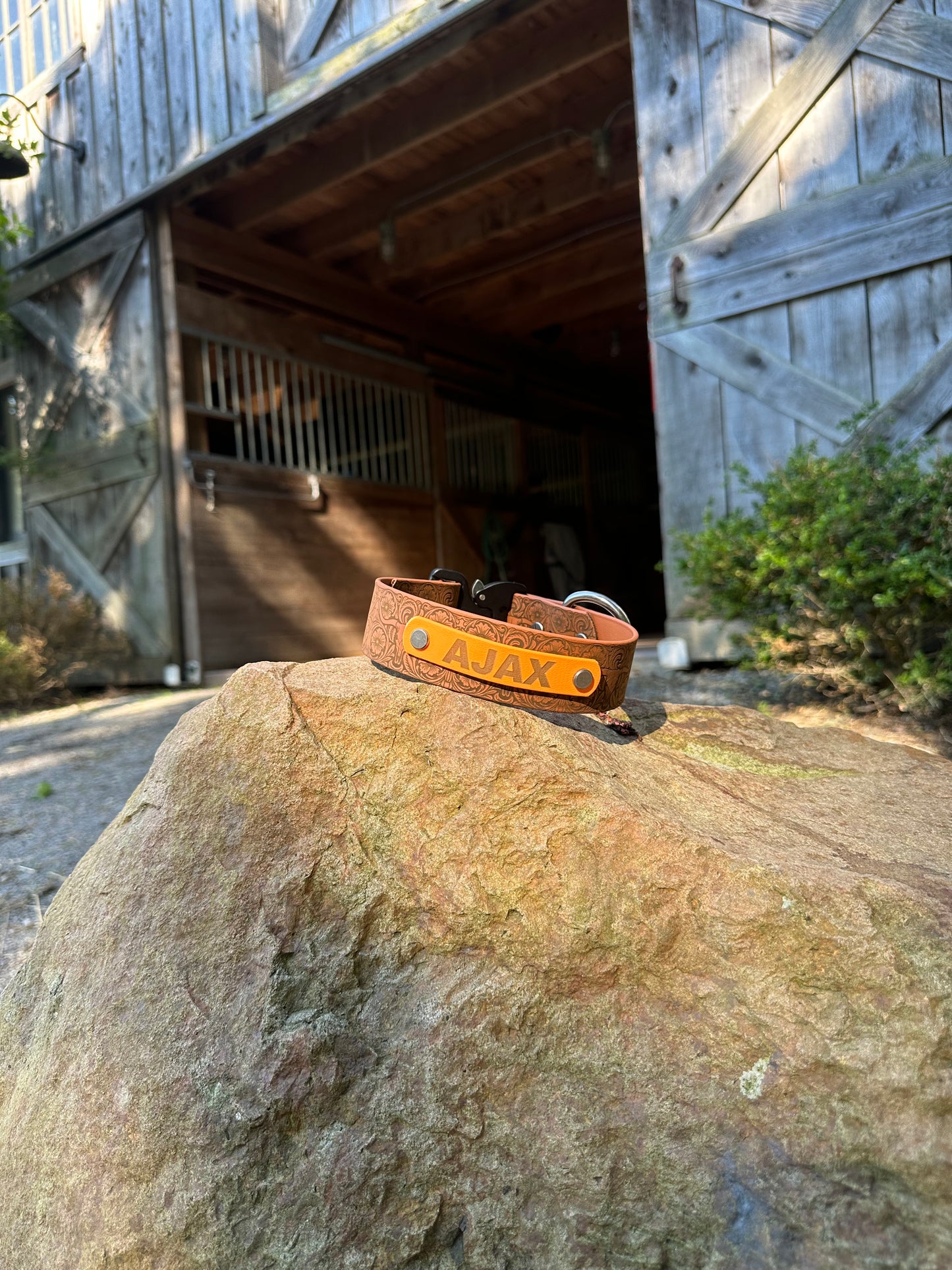 Personalized Engraved Waterproof Biothane Dog Collar. Adjustable Chicago screw variation.