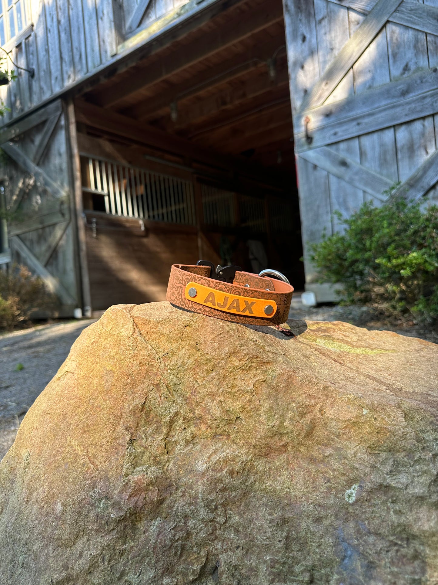Personalized Engraved Waterproof Biothane Dog Collar. Adjustable Chicago screw variation.