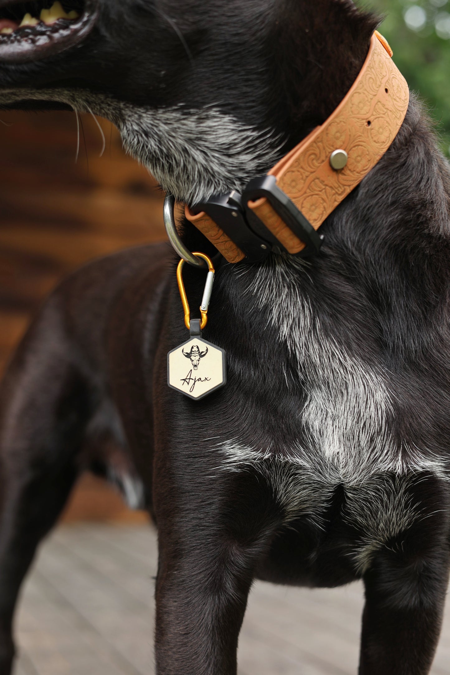 Personalized Engraved Waterproof Biothane Dog Collar. Adjustable Chicago screw variation.