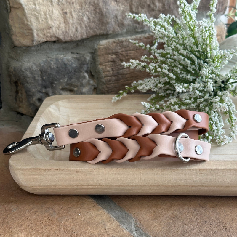 Two Toned Double Braided Leash (Waterproof + Odor-Proof)
