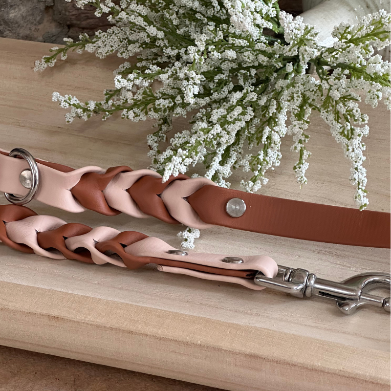 Two Toned Double Braided Leash (Waterproof + Odor-Proof)