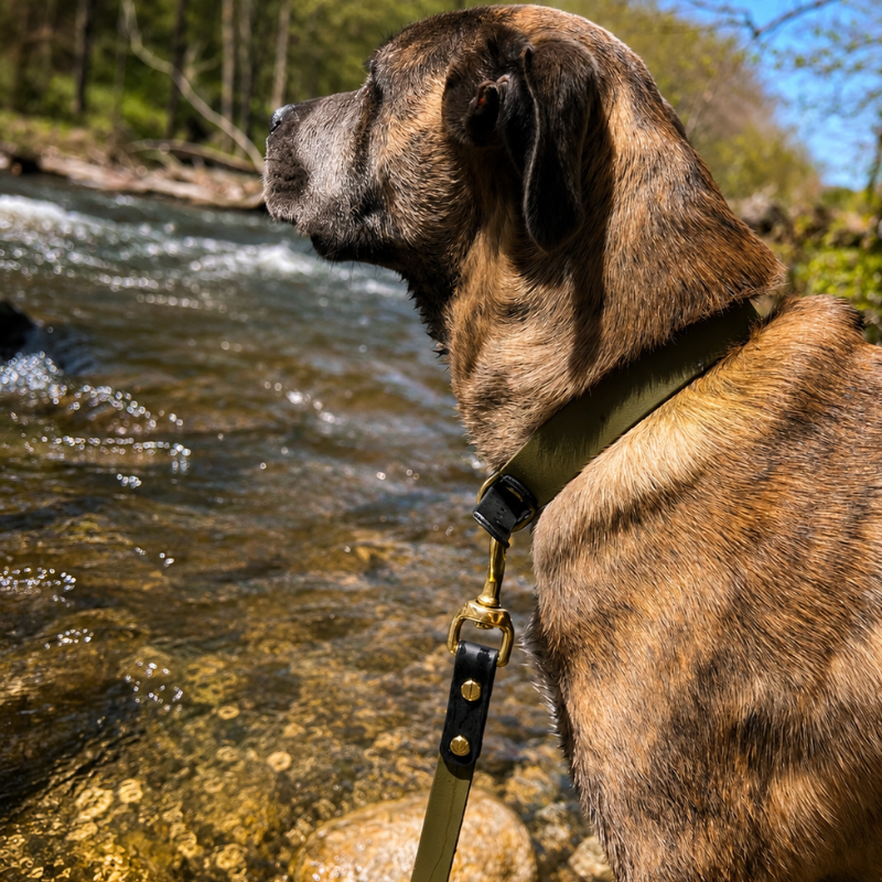 Two Toned Leash (Waterproof + Odor-Proof)