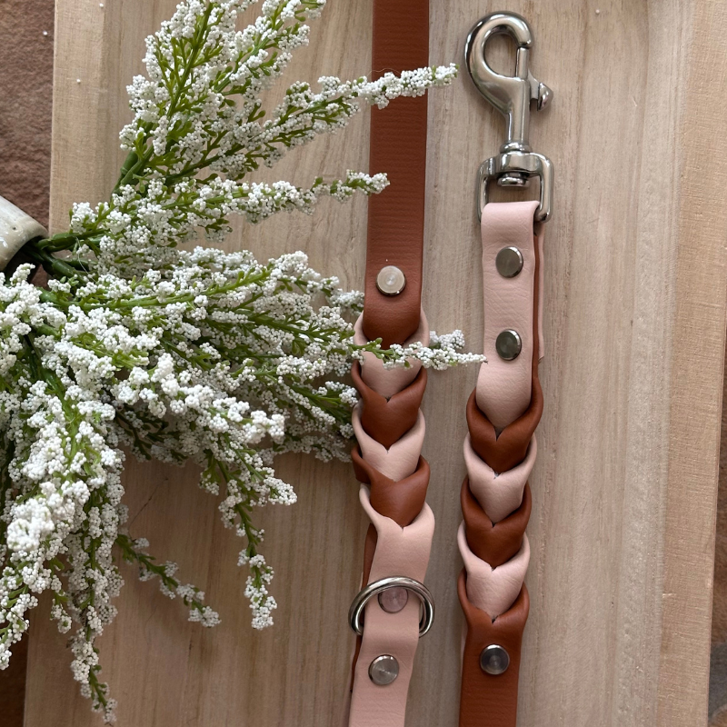 Two Toned Double Braided Leash (Waterproof + Odor-Proof)