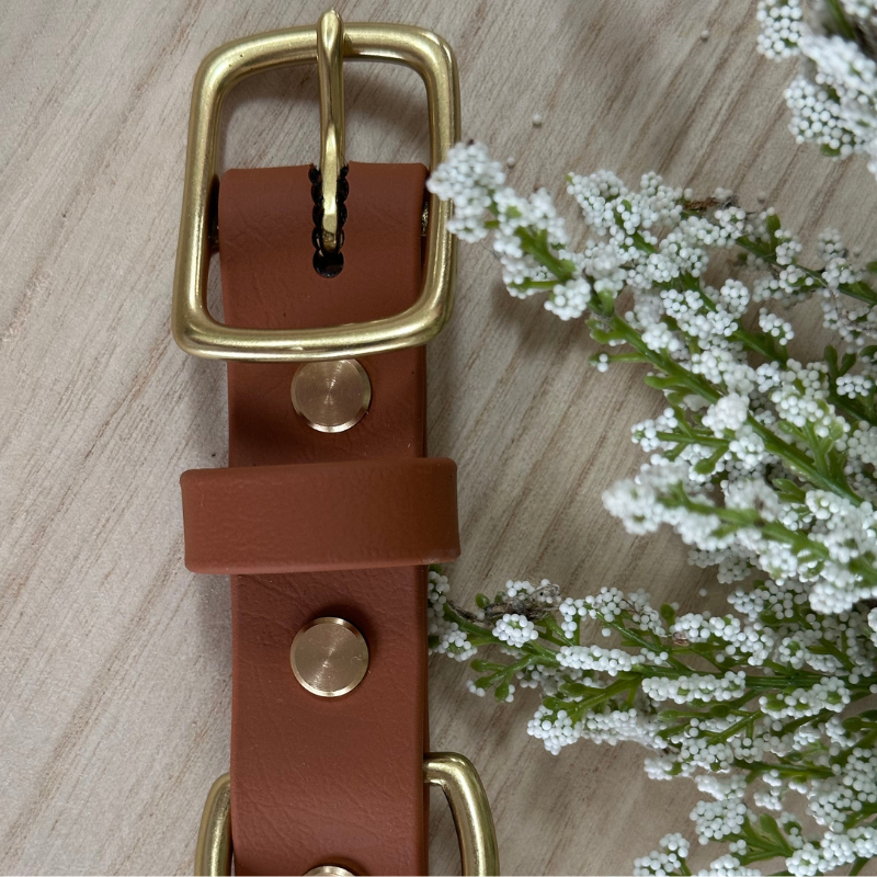 Braided Collar (Waterproof + Odor-Proof)