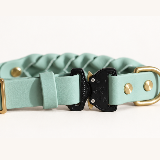Braided Cobra Buckle