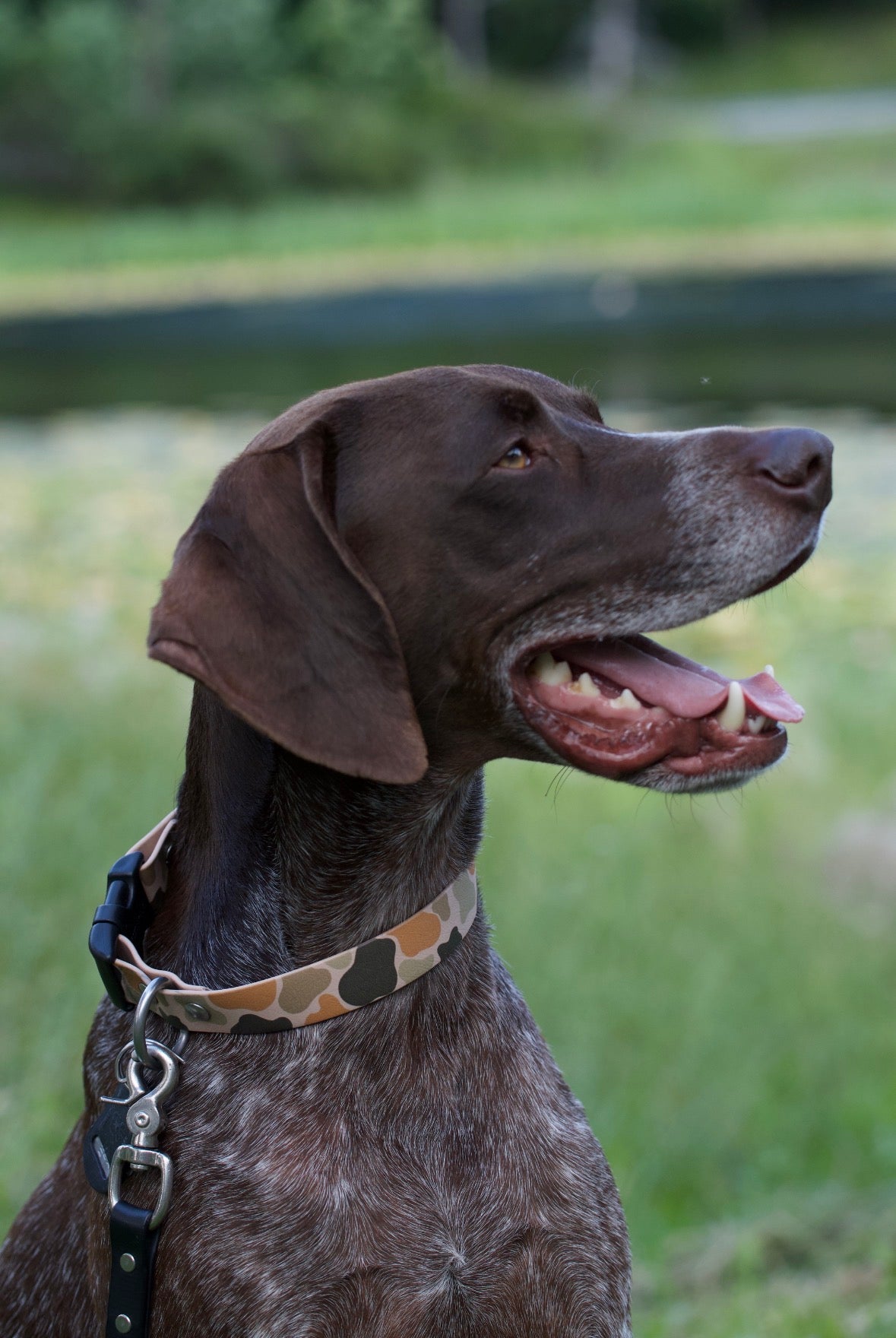 Camo Biothane Collar (Waterproof + Odor-Proof)