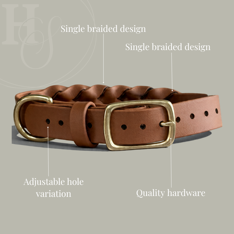 Braided Collar (Waterproof + Odor-Proof)
