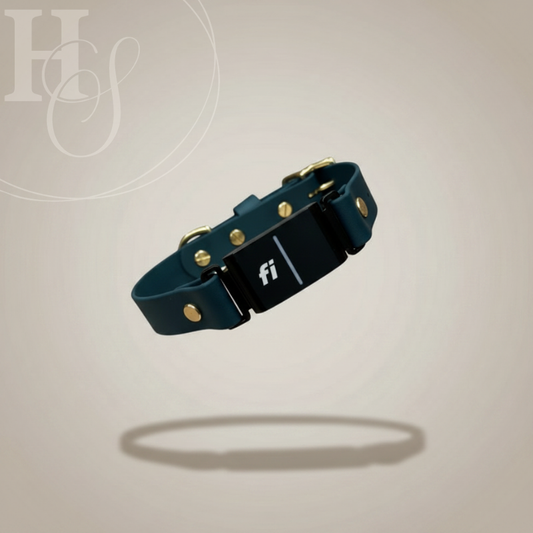 Solid Color Traditional Fi Collar (Waterproof + Odor-Proof)