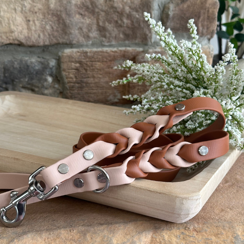 Two Toned Double Braided Leash (Waterproof + Odor-Proof)