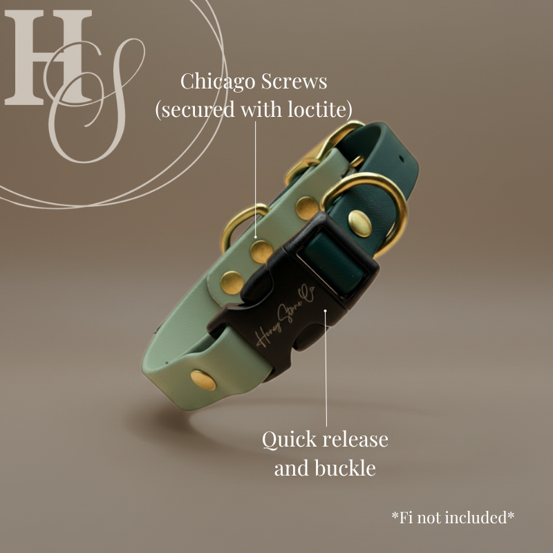 Buckle & Quick Release Collar (Waterproof + Odor-Proof)
