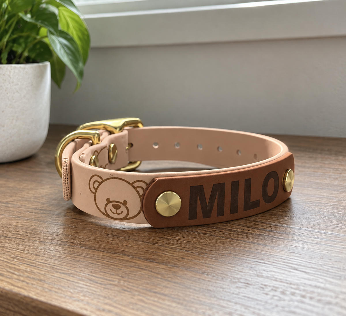 Teddy Bear Engraved Simplistic Collar (Waterproof + Odor-Proof)