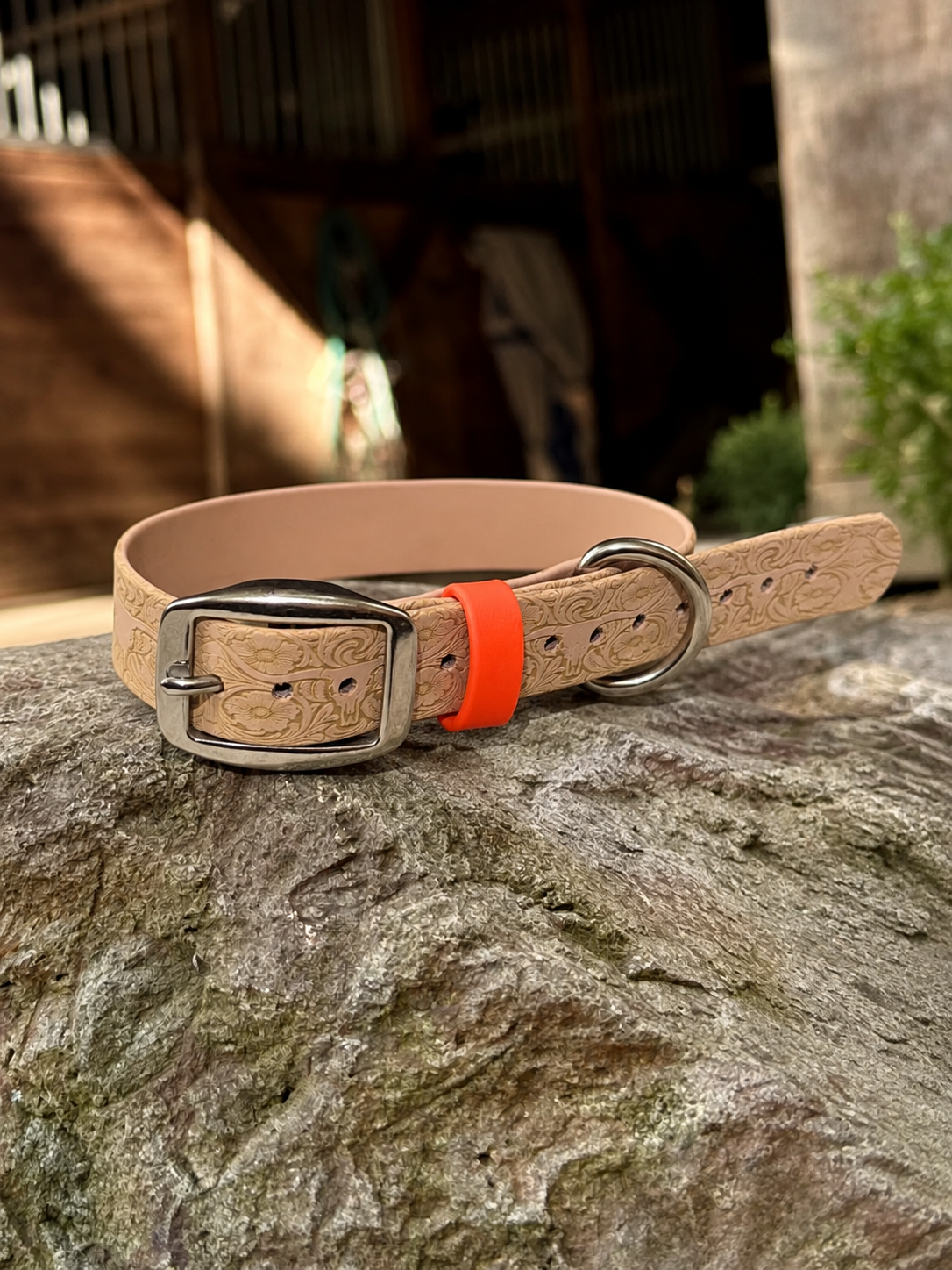 Bull Skull Engraved Simplistic Collar (Waterproof + Odor-Proof) (Copy)